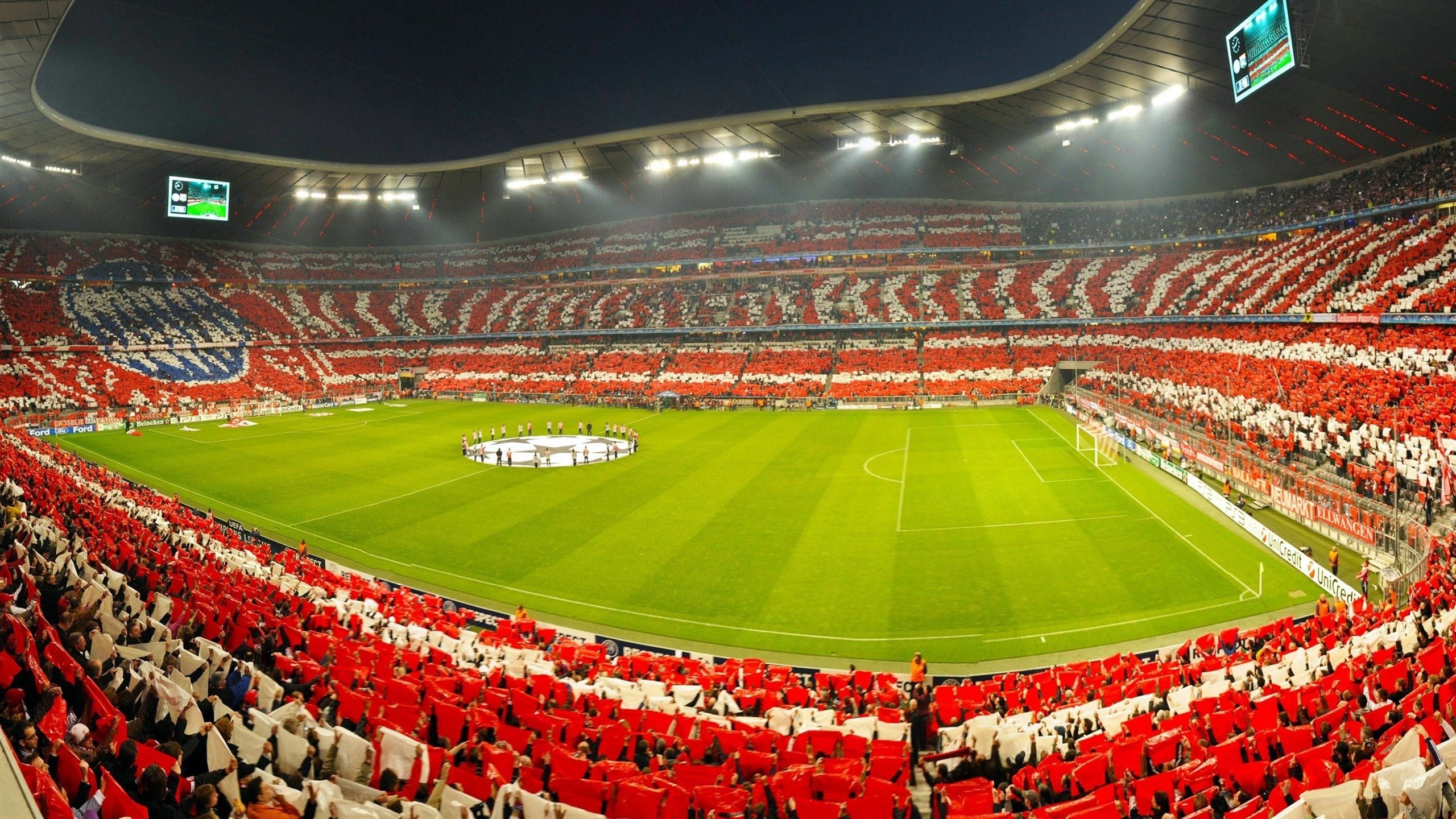 开云体育官方网站-凯恩西决封神夜，几内亚足球的非典型强势晋级