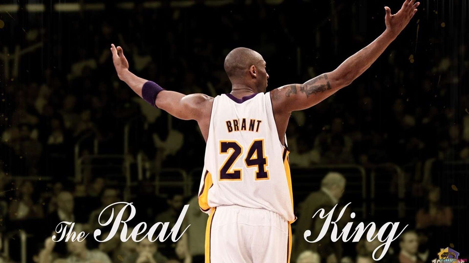 开云体育APP下载-贝恩2026世界杯封神之战，竟源于广厦队一场无悬念的胜利？